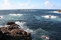 IMG_8822.JPG