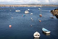 IMG_8836.JPG
