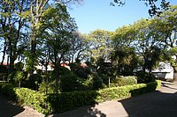 IMG_8852.JPG