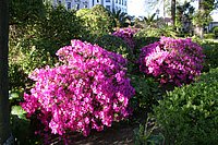 IMG_8855.JPG