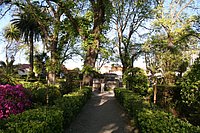 IMG_8858.JPG