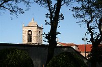 IMG_8860.JPG
