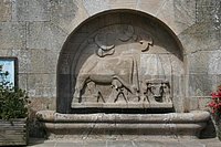 IMG_8902.JPG