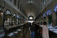 IMG_8903.JPG