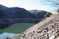 IMG_4238.JPG