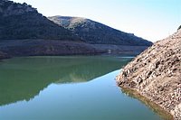 IMG_4240.JPG