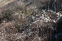 IMG_4254.JPG