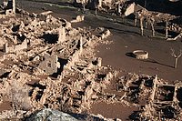IMG_4263.JPG