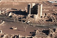 IMG_4264.JPG
