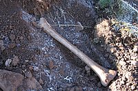 IMG_4275.JPG