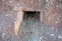 IMG_4278.JPG