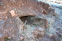 IMG_4281.JPG
