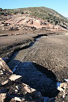 IMG_4317.JPG