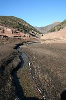 IMG_4319.JPG