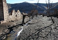 IMG_4321.JPG