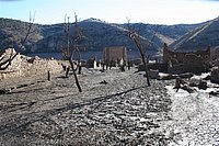 IMG_4322.JPG