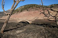 IMG_4327.JPG