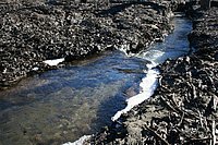 IMG_4330.JPG