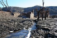 IMG_4331.JPG