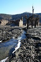IMG_4332.JPG