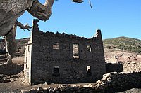 IMG_4336.JPG