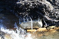 IMG_4337.JPG