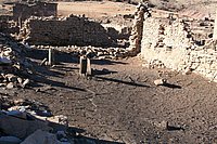 IMG_4339.JPG