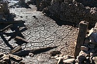 IMG_4341.JPG