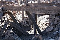 IMG_4343.JPG
