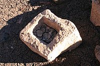 IMG_4368.JPG