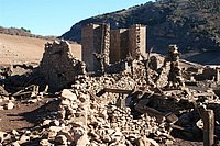 IMG_4369.JPG