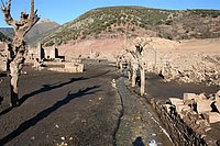 IMG_4378.JPG