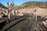 IMG_4379.JPG