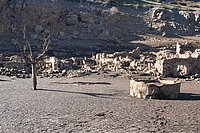 IMG_4381.JPG
