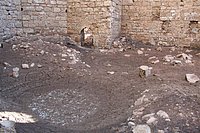IMG_4387.JPG