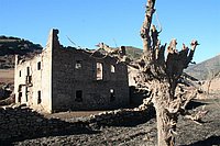 IMG_4397.JPG