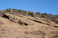 IMG_4398.JPG